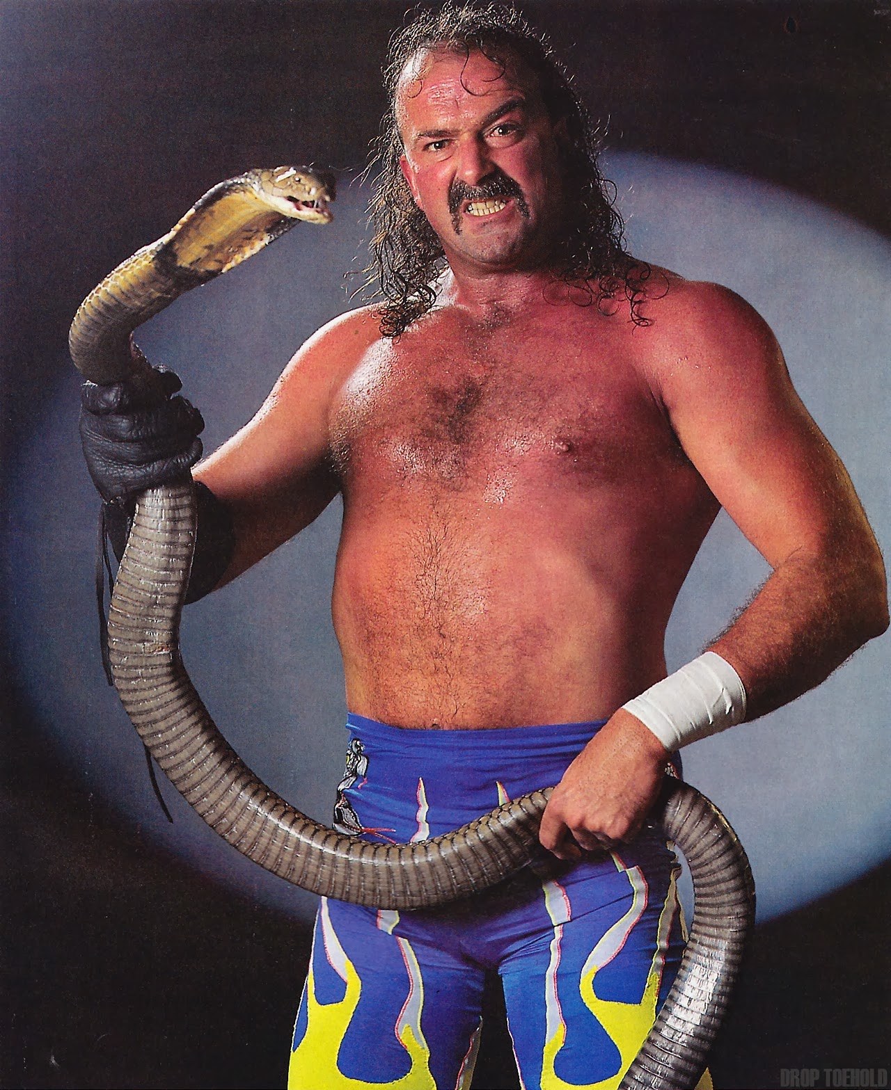 Jake The Snake Roberts To Be Inducted In The 2014 WWE Hall Of Fame